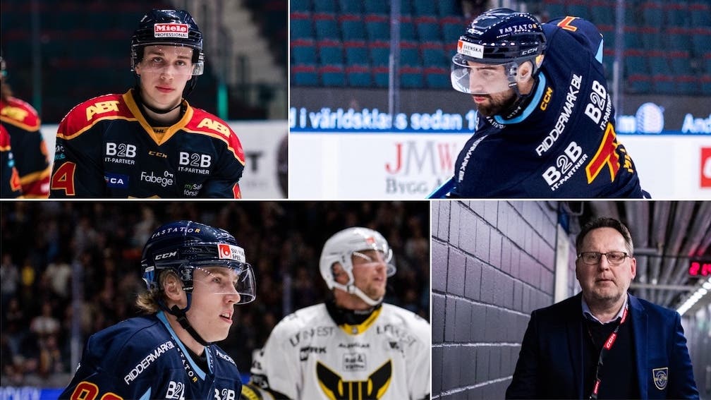 (26484) Djurgården Alm Lekkerimäki Stoppel