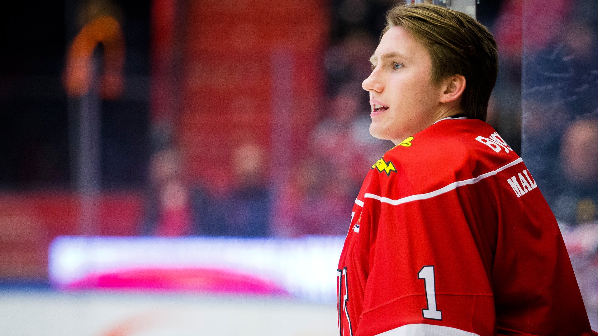Johan Bernström/Bildbyrån