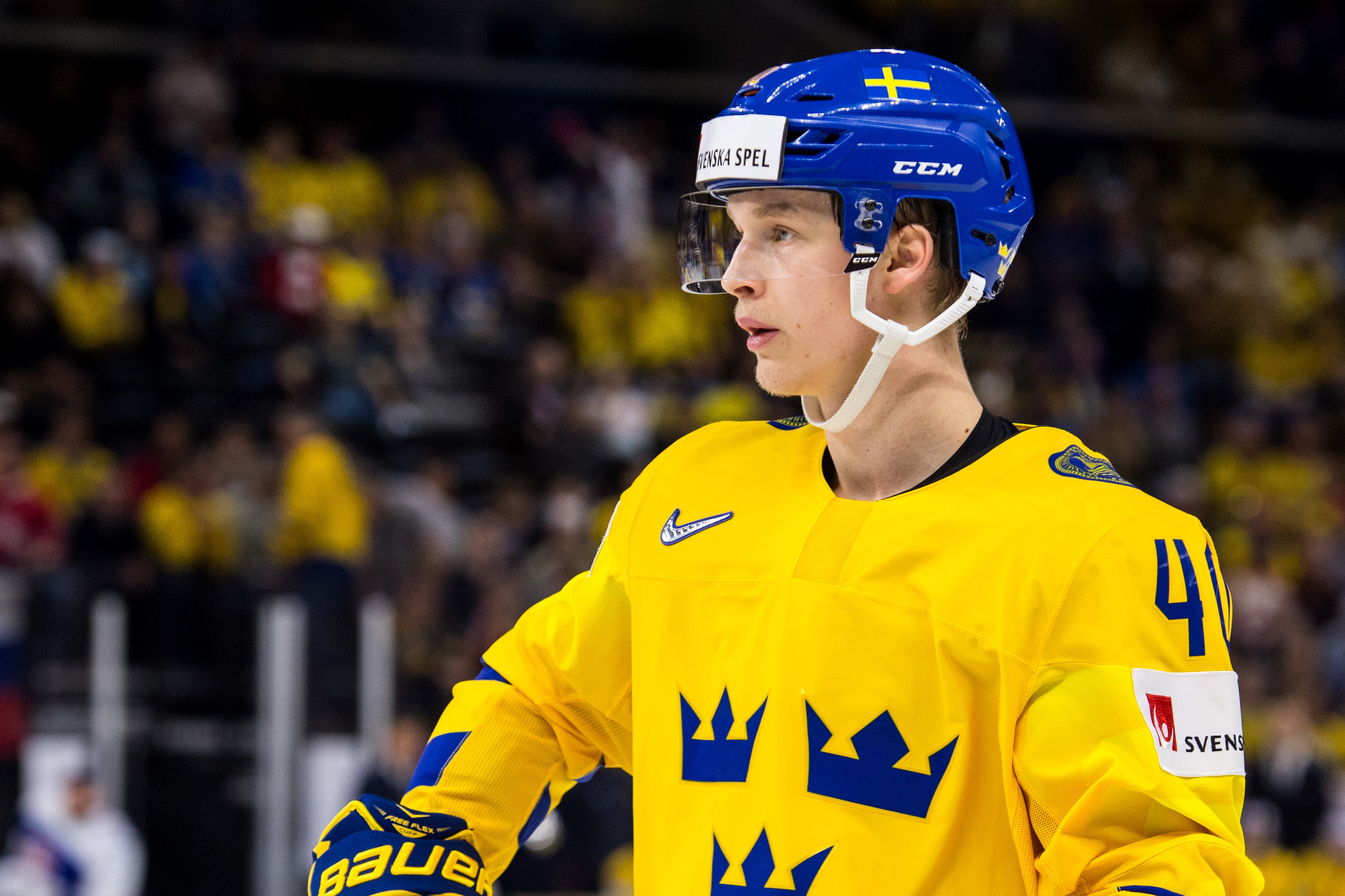 Petter Arvidson/Bildbyrån