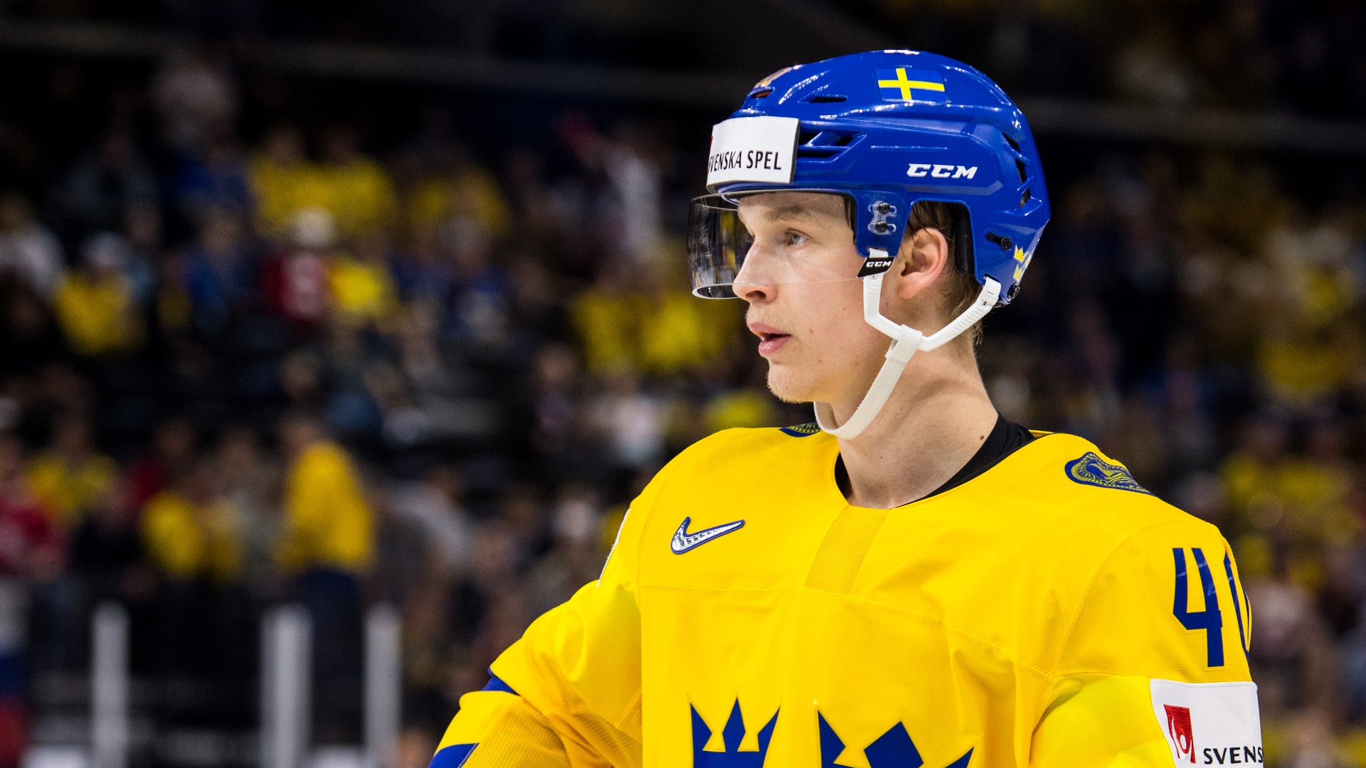 Petter Arvidson/Bildbyrån