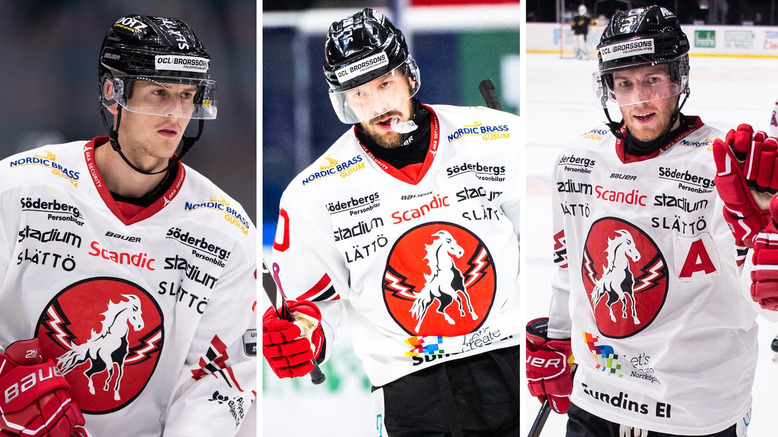 (13372) Vita Hästen