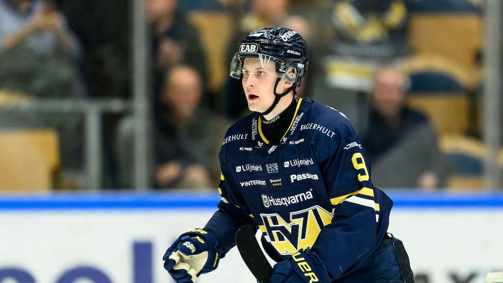 Hugo Pettersson