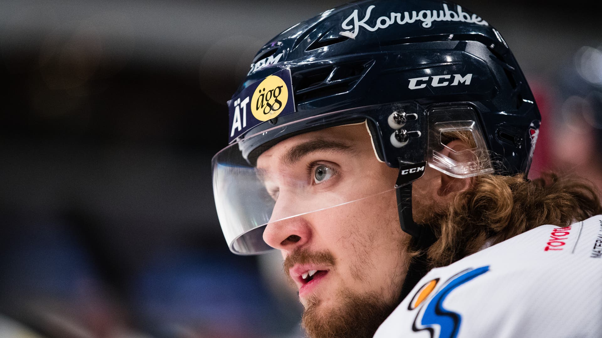 Andreas L Eriksson/Bildbyrån