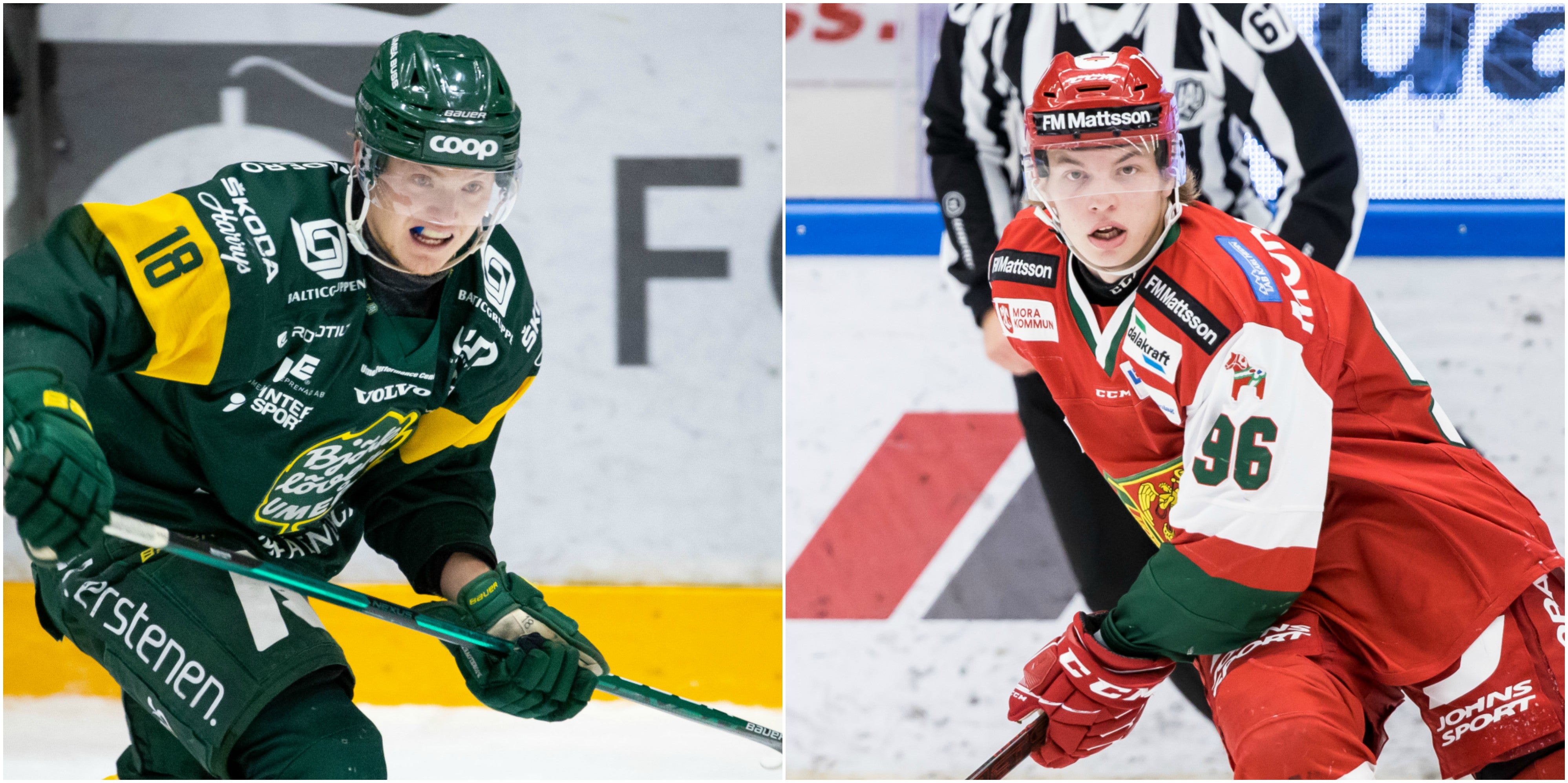 (17282) ottosson wernblom