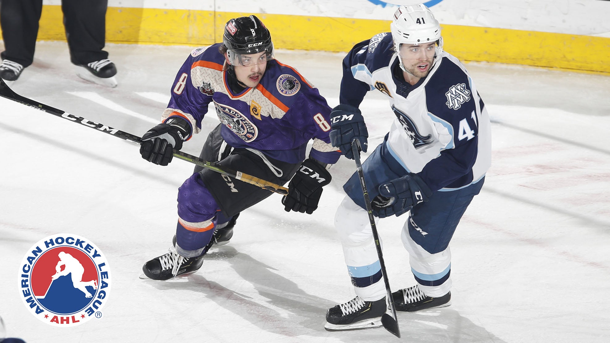 Ross Dettman /Chicago Wolves