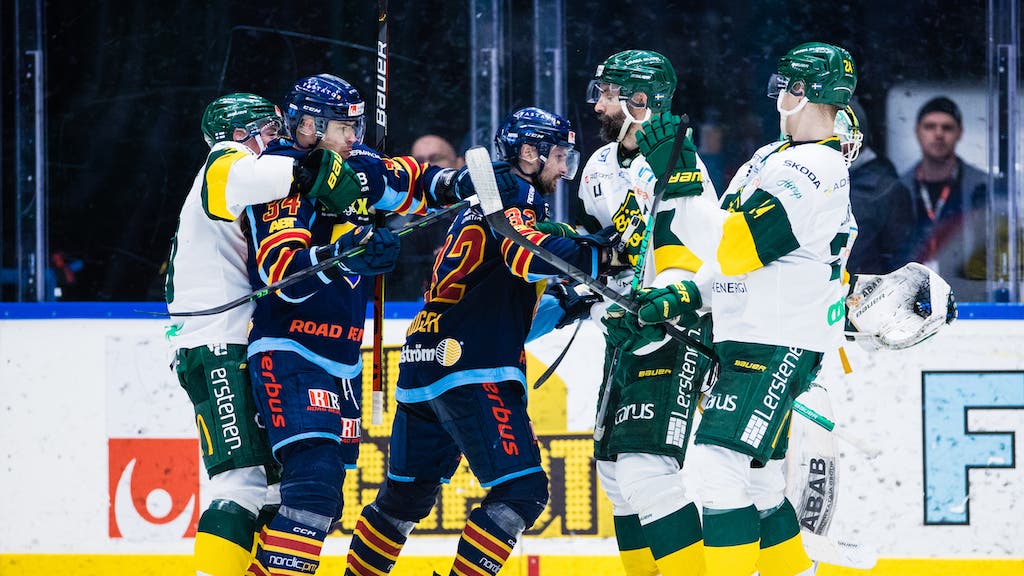 (27295) Djurgården Björklöven