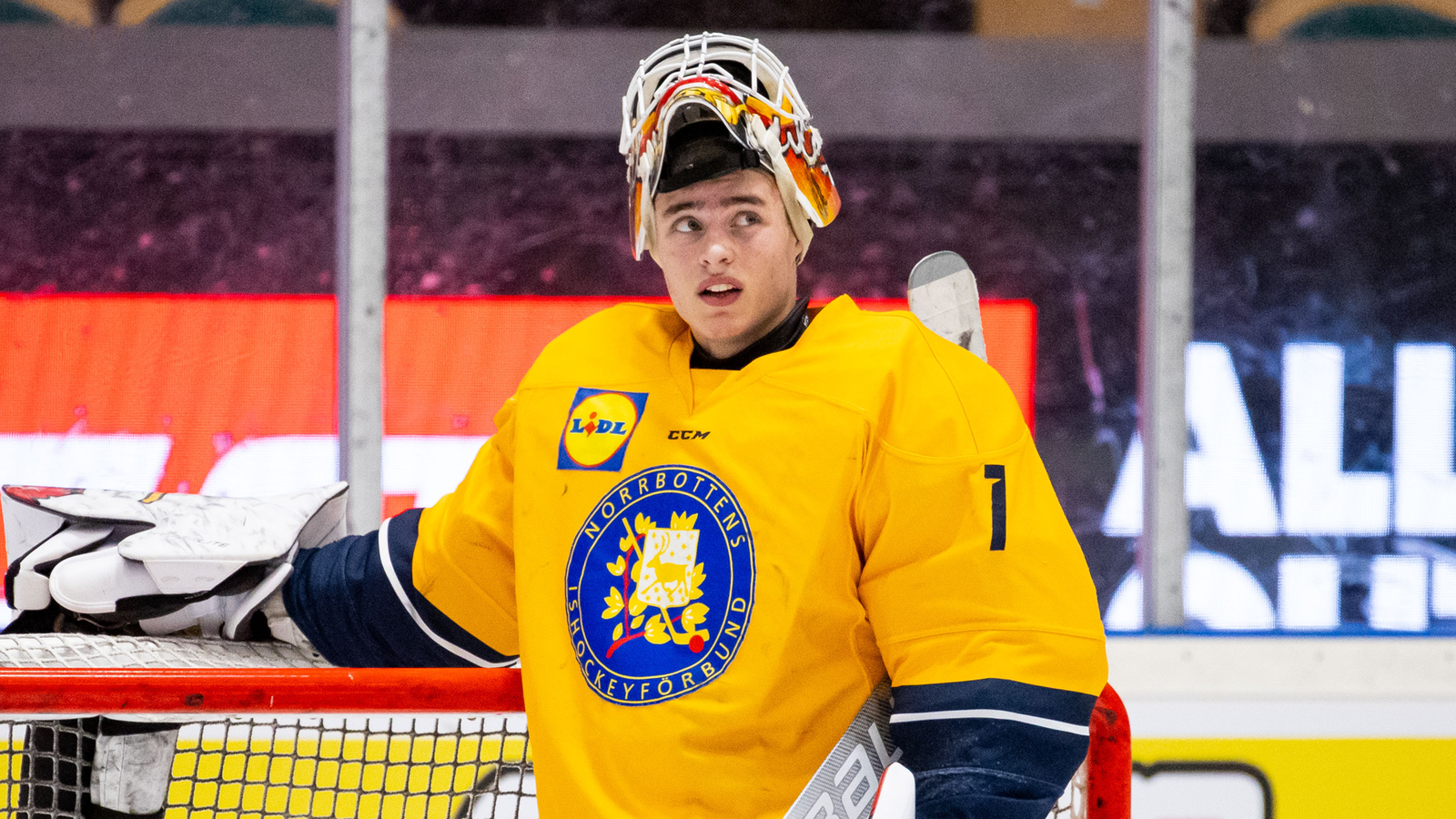 (26489) Love_Härenstam