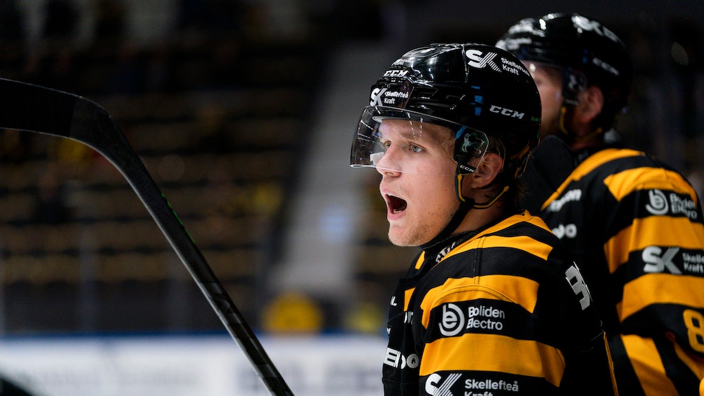 (20854) Måns Forsfjäll/Skellefteå