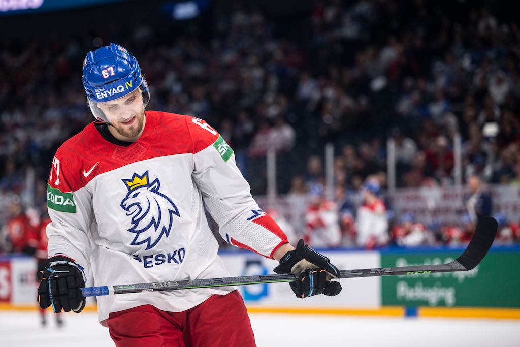 (24348) Jiri Smejkal/Tjeckien