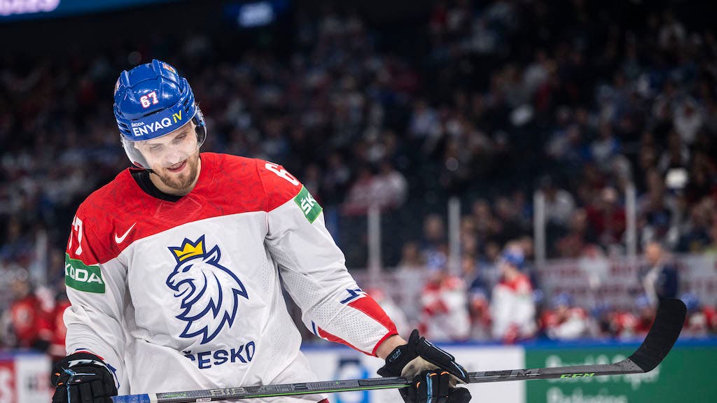 (24348) Jiri Smejkal/Tjeckien