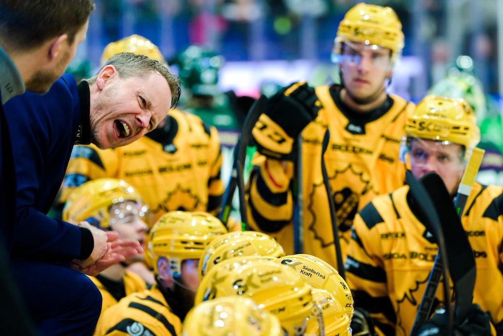 (24025) Skellefteå Robert Ohlsson