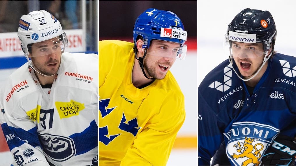 (25742) Shore Tömmernes Kaski