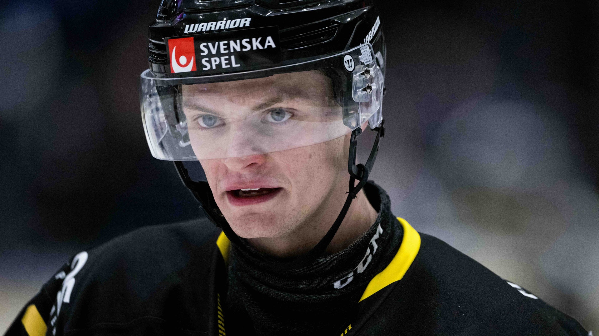 Adam Hofbauer