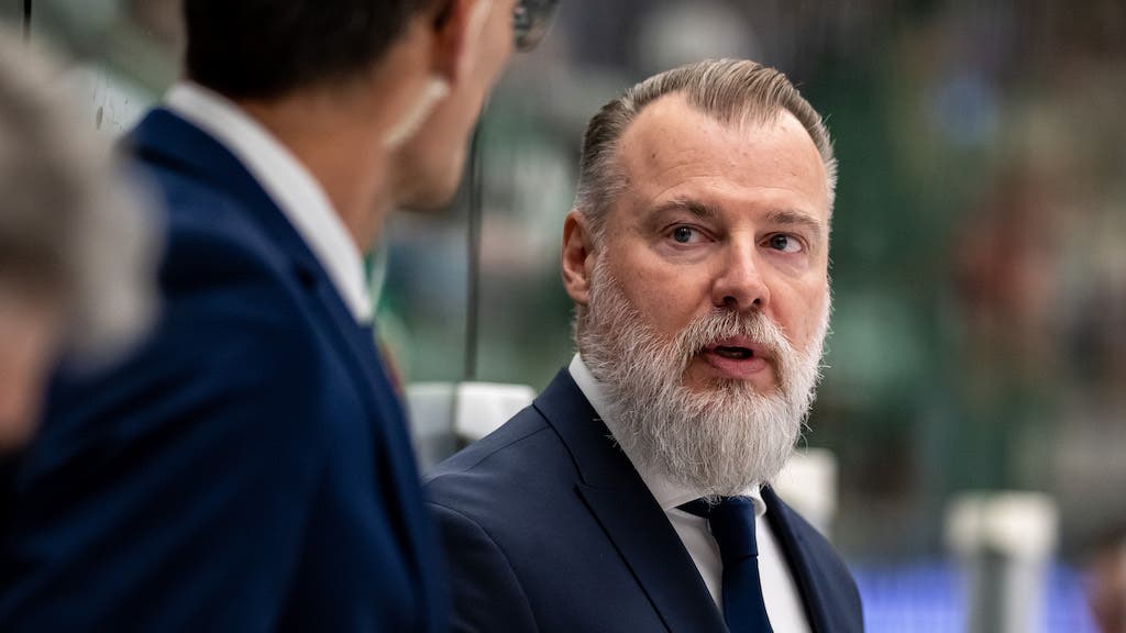 (25001) Rikard Grönborg ZSC Lions Zürich