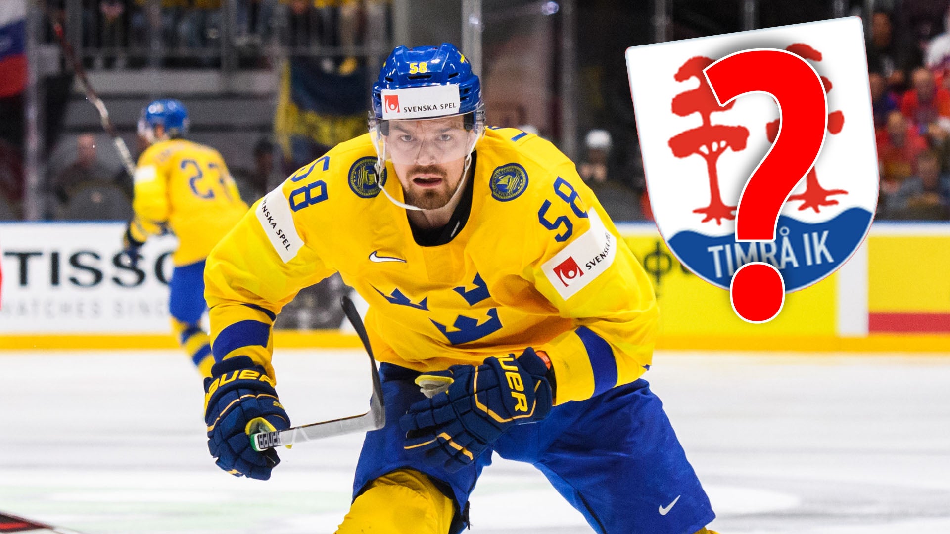 (19293) Lander/Timrå