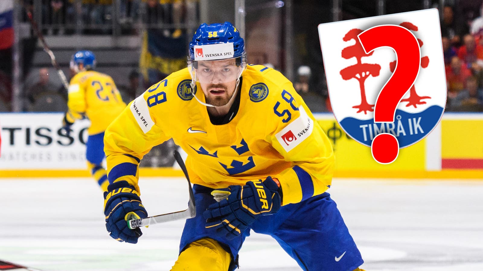 (19293) Lander/Timrå