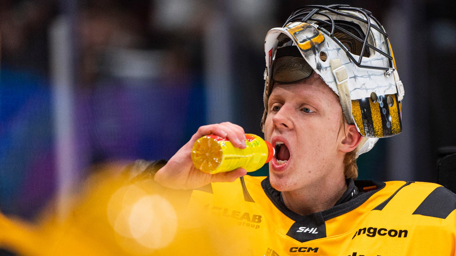 (26507) Alexander Hellnemo