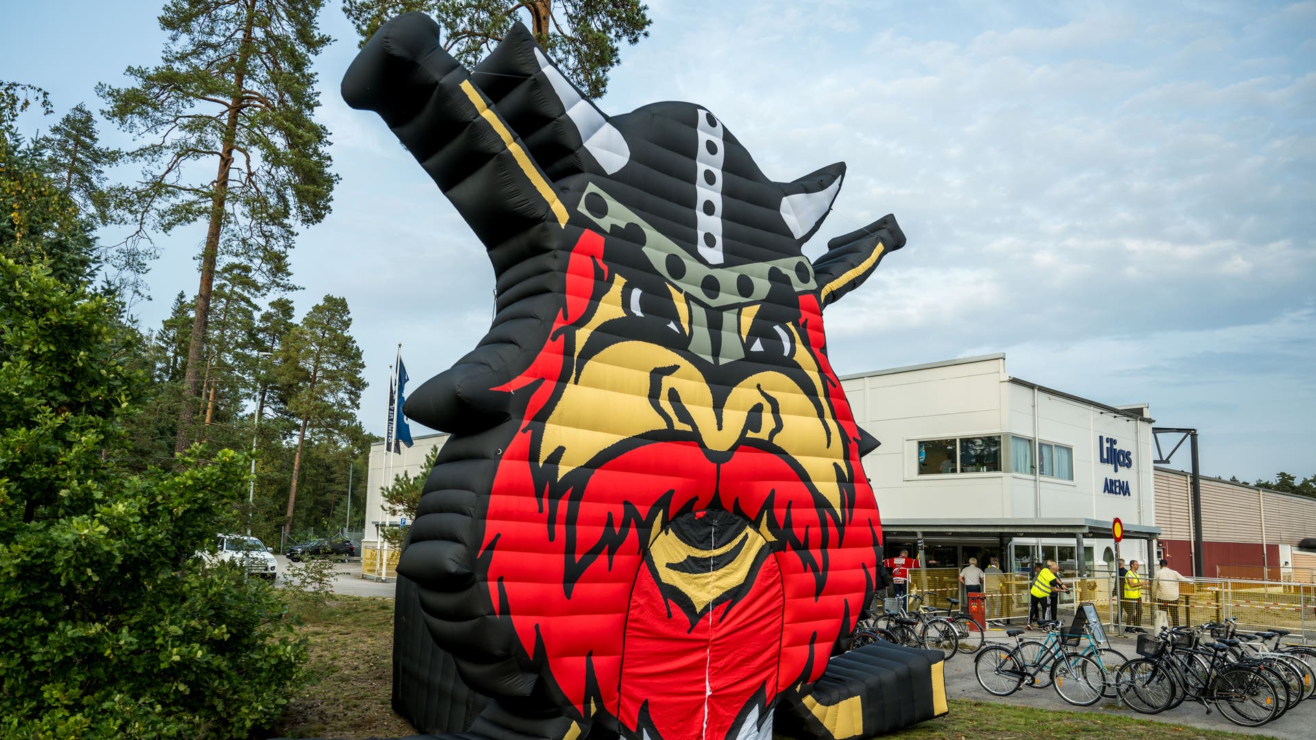 Artikelbild