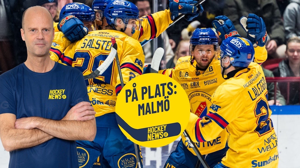 Malmö Djurgården betygen