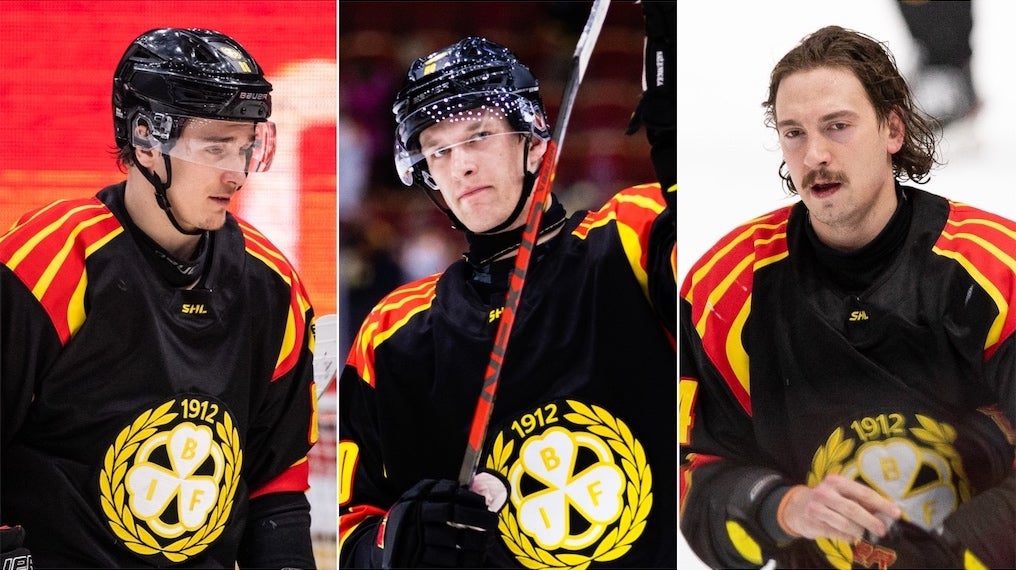 (27399) Timashov Sklenicka Björninen