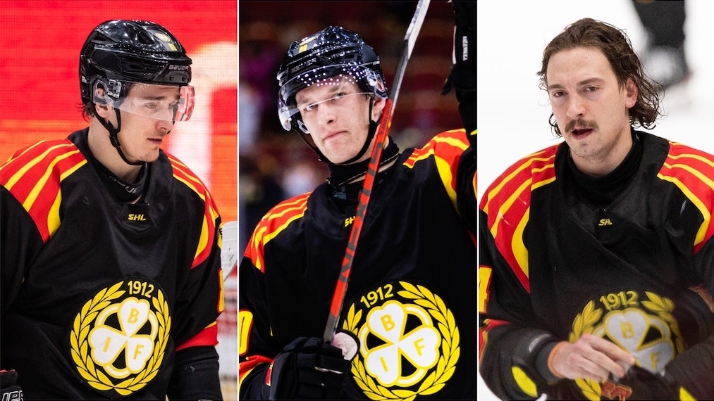 (27399) Timashov Sklenicka Björninen