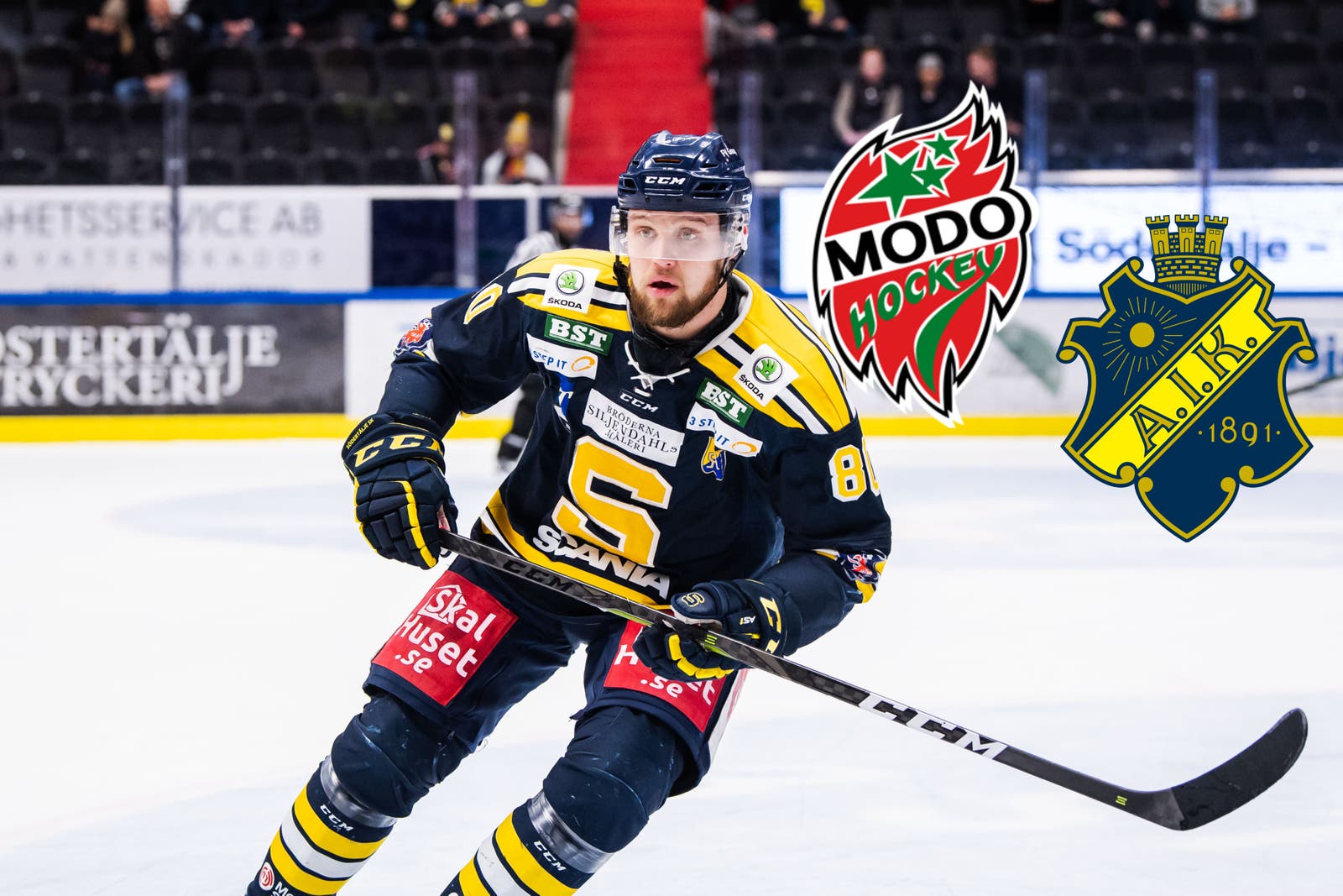 (13856) Ludwig Blomstrand