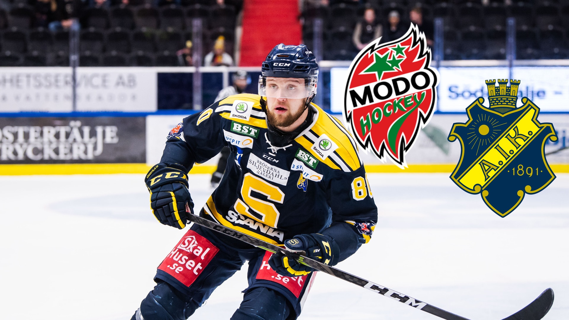 (13856) Ludwig Blomstrand