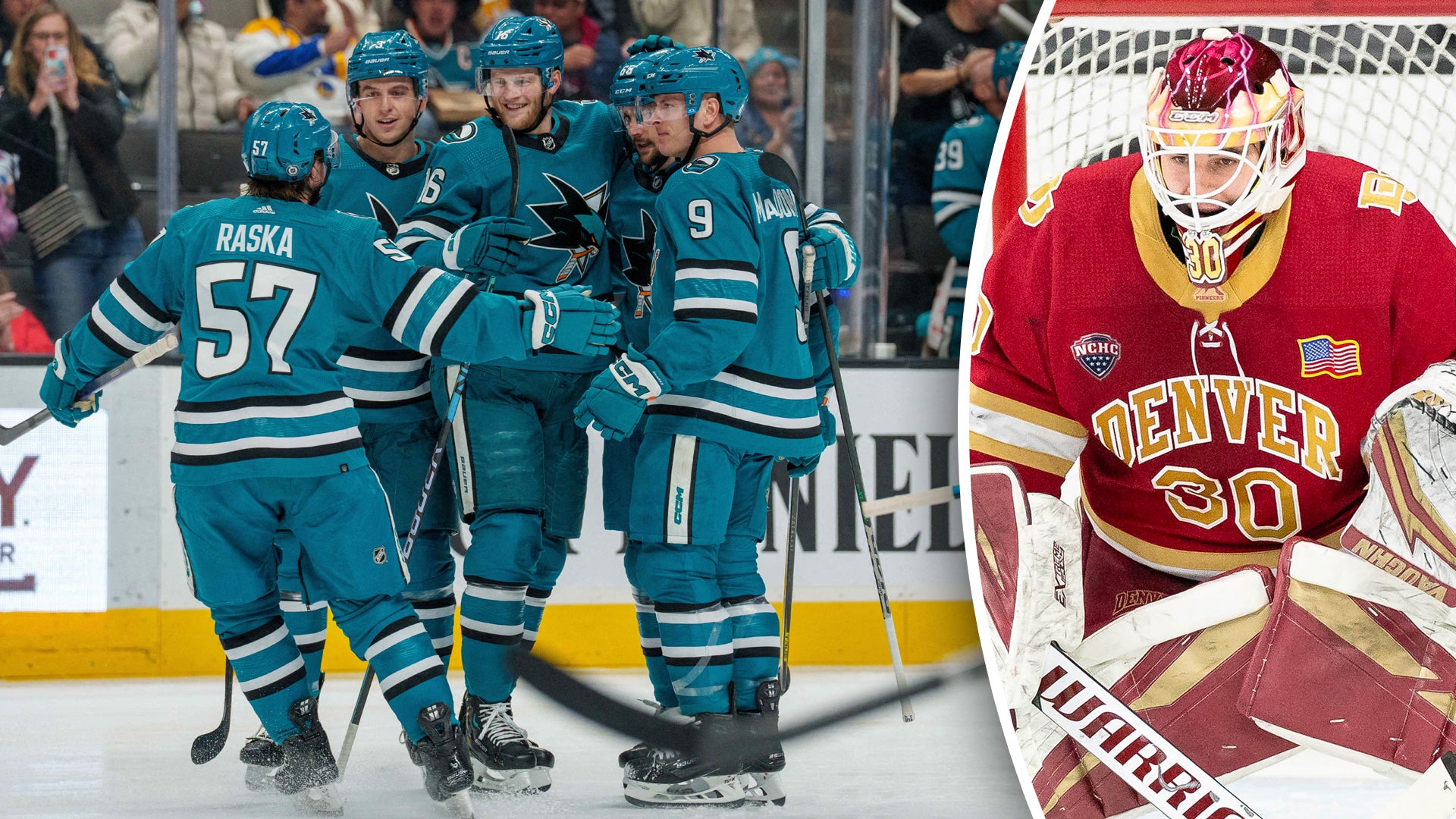 (27460) Magnus Chrona