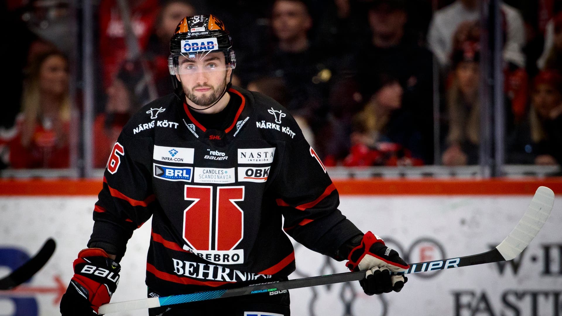 (24226) Daniel Audette