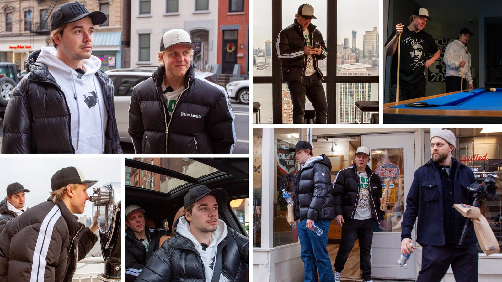 (26334) Alexander Holtz Fabian Zetterlund