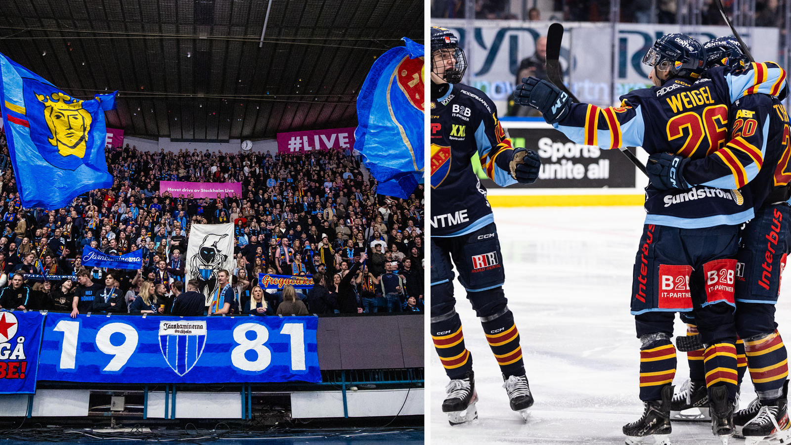 Djurgården jubel publik 