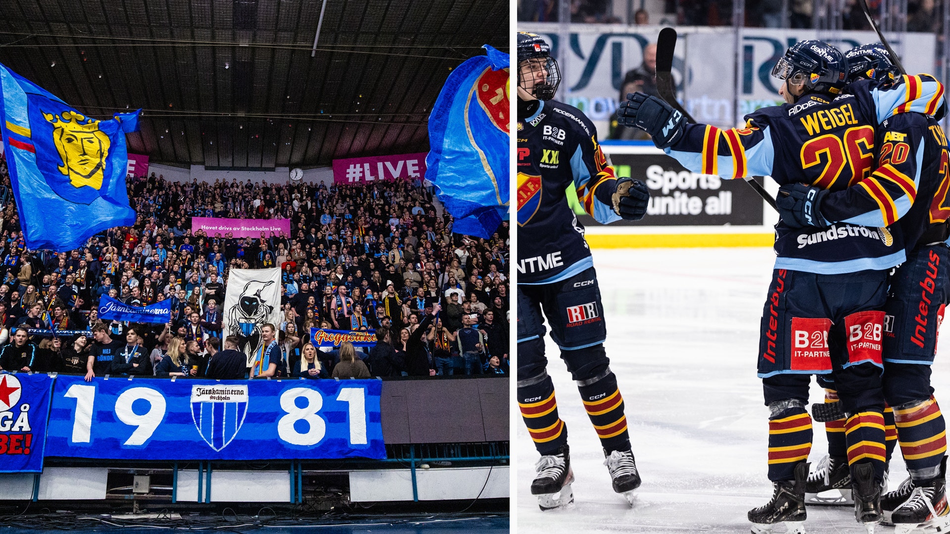 Djurgården jubel publik