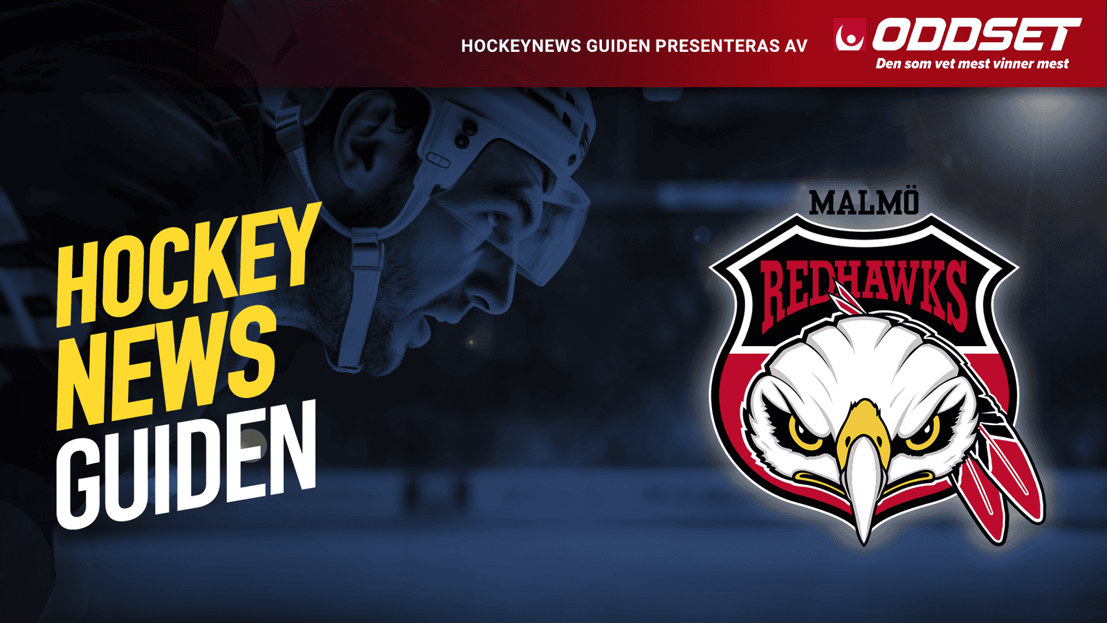 malmö guide toppbild