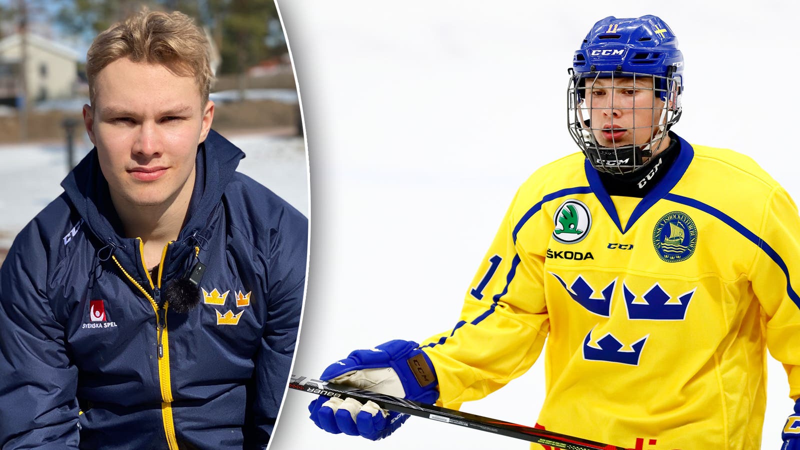 (19300) Fabian Lysell