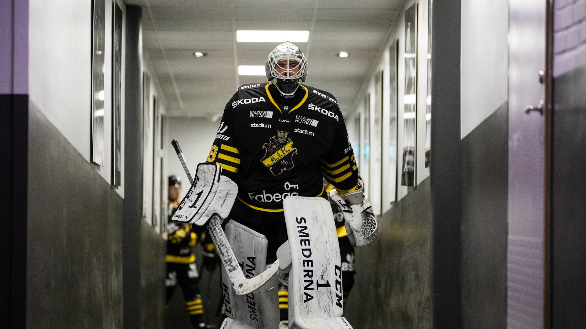 (5047) johannes jönsson