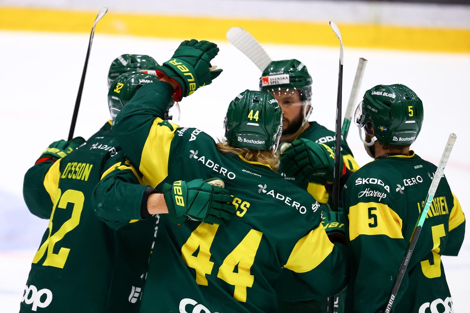 (24177) Björklöven