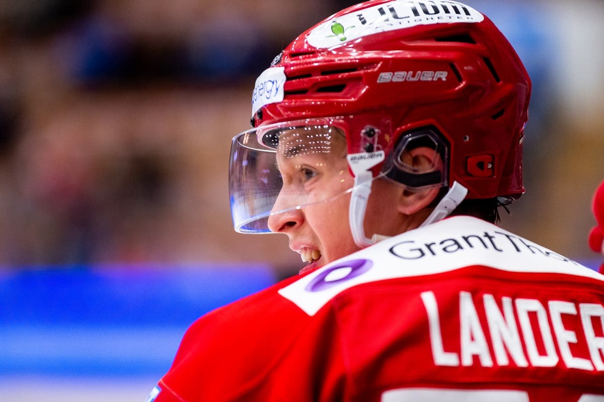 (14303) Filip Lander