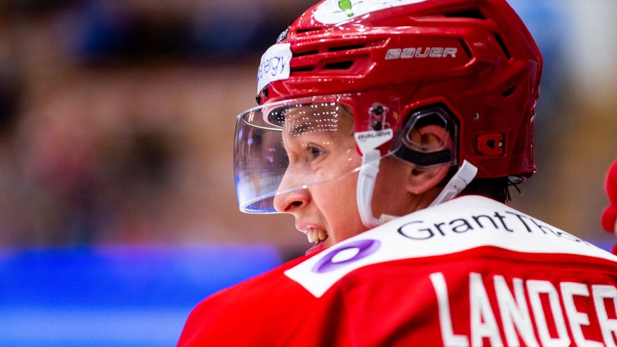 (14303) Filip Lander