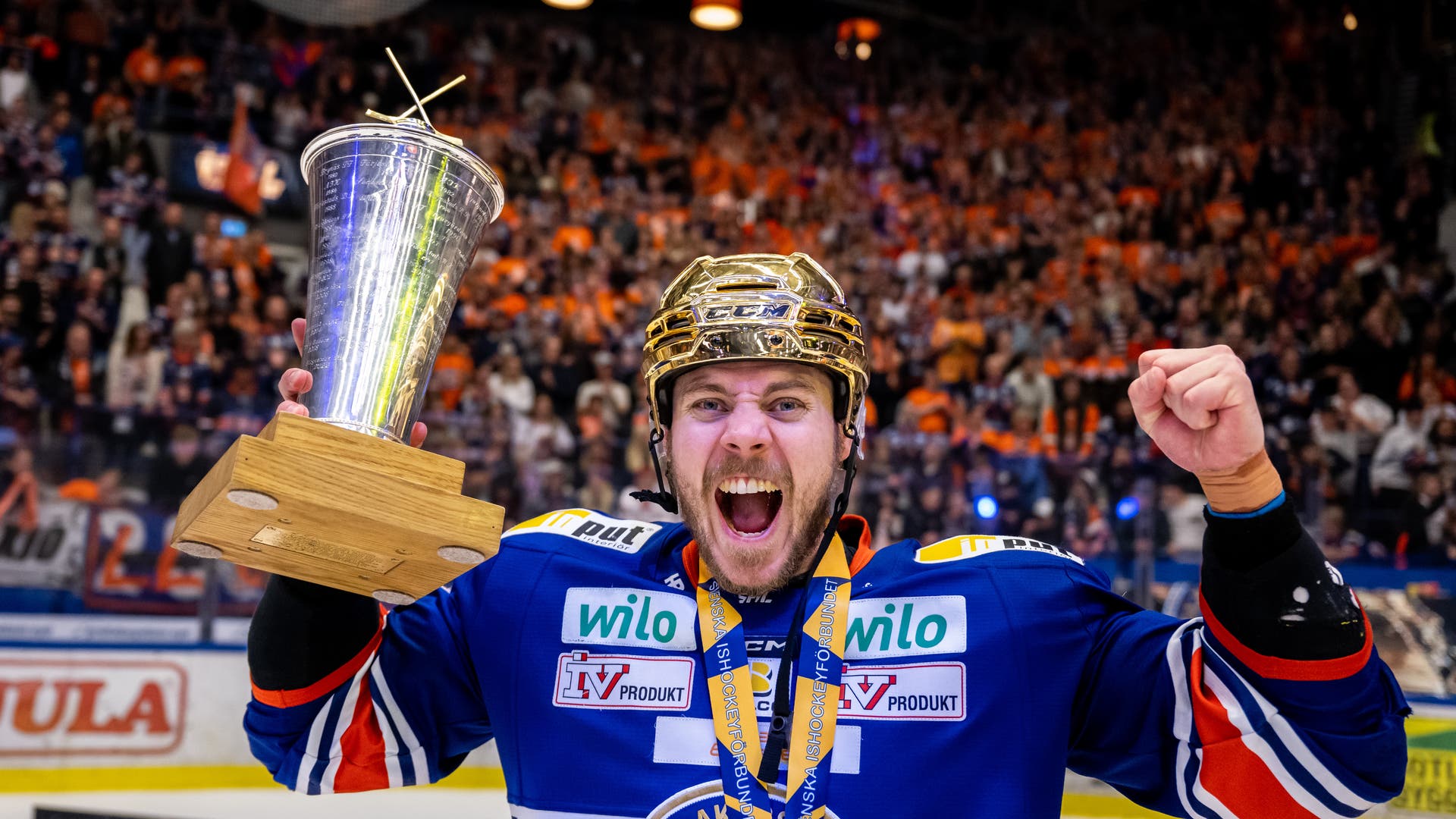 (28138) Joel Kellman