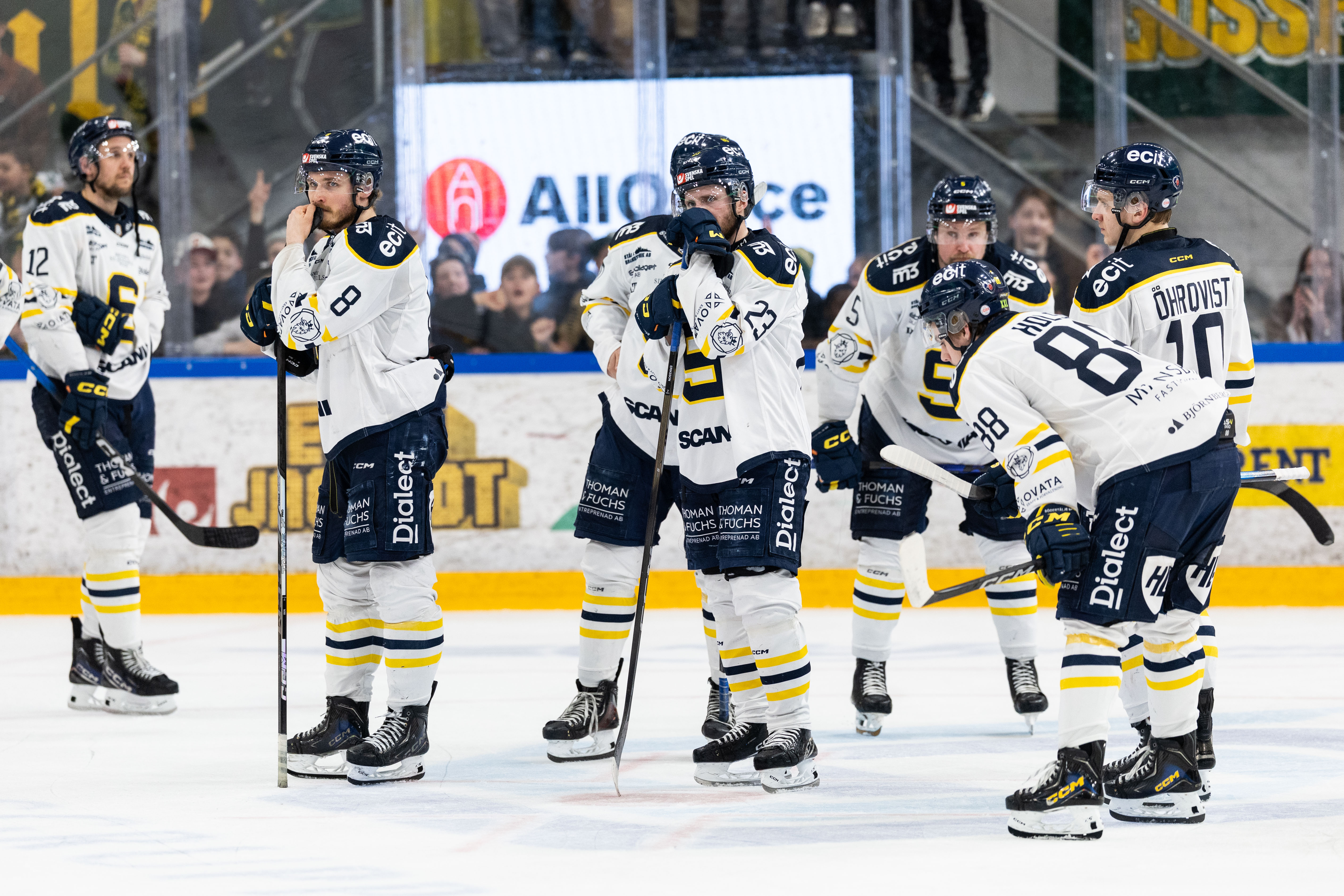 Foto: Johan Löf/Bildbyrån