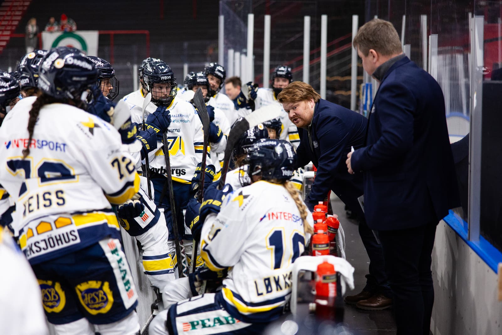 HV71 dam SDHL