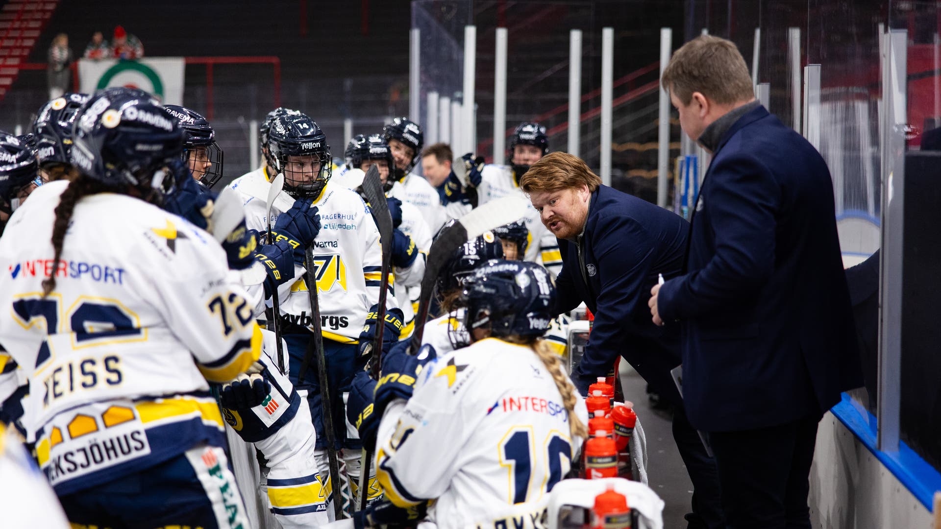 HV71 dam SDHL