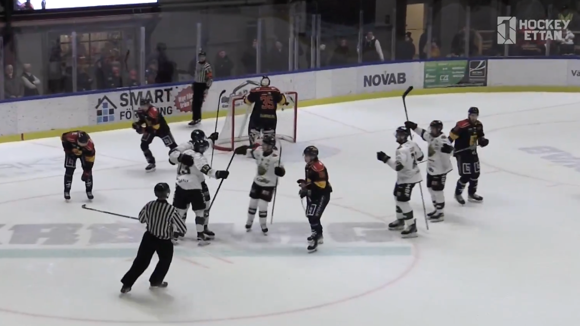 Skärmdump Hockeyettan