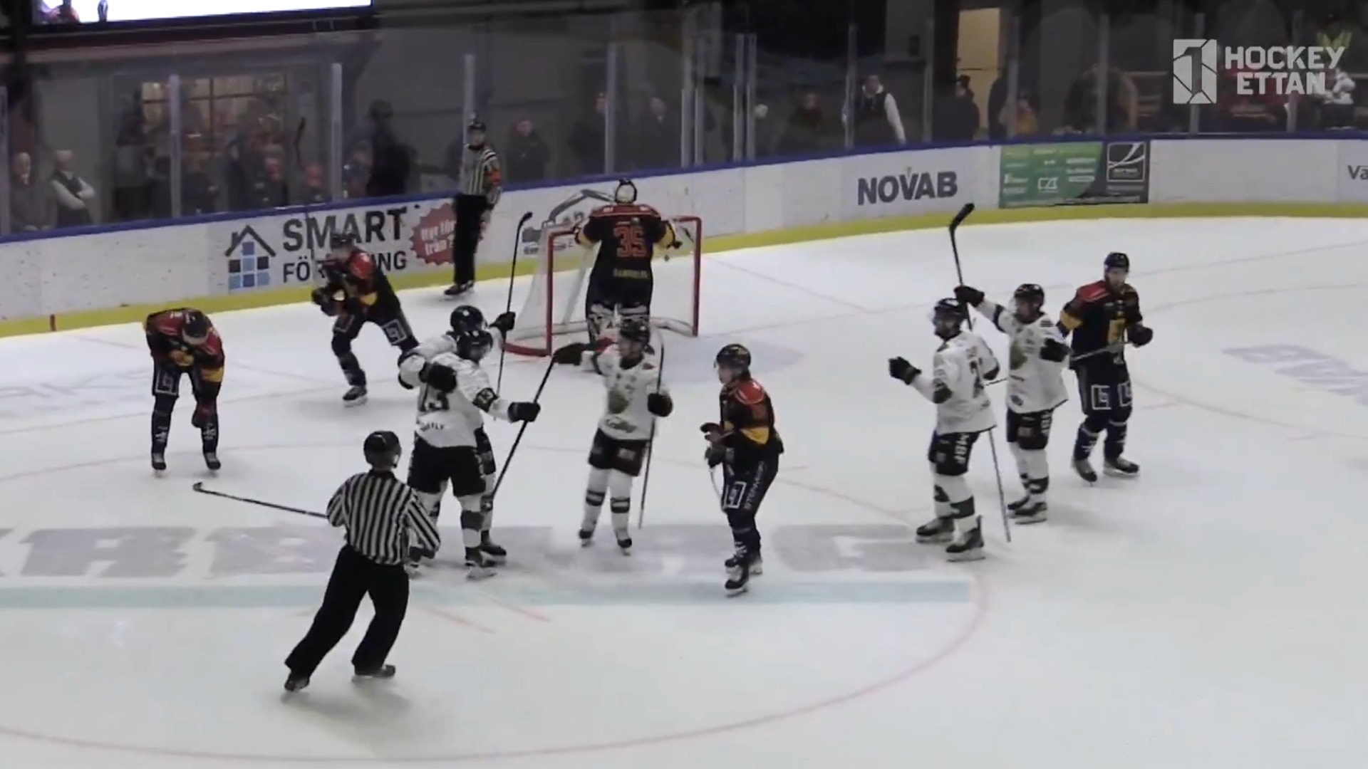 Skärmdump Hockeyettan