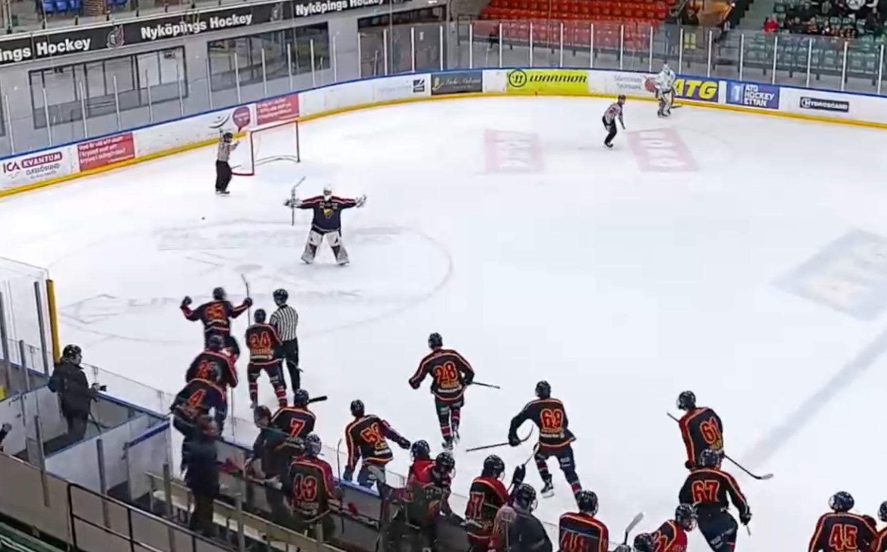 Skärmdump/svenskhockey.tv