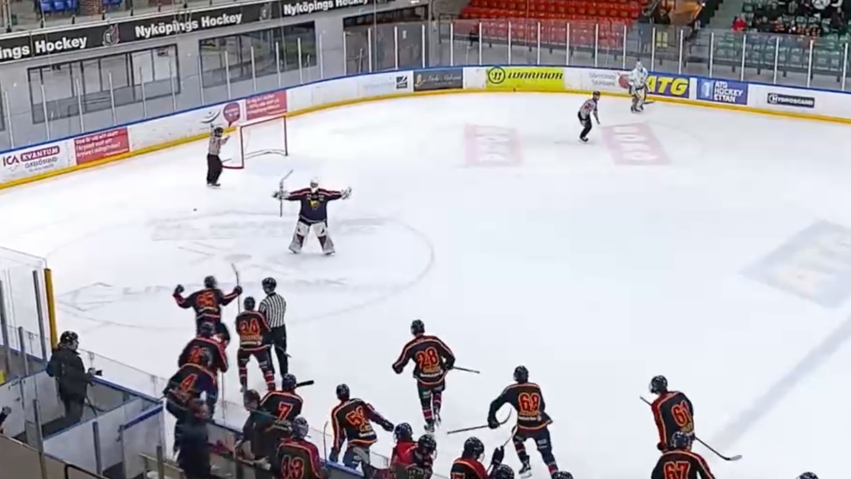 Skärmdump/svenskhockey.tv