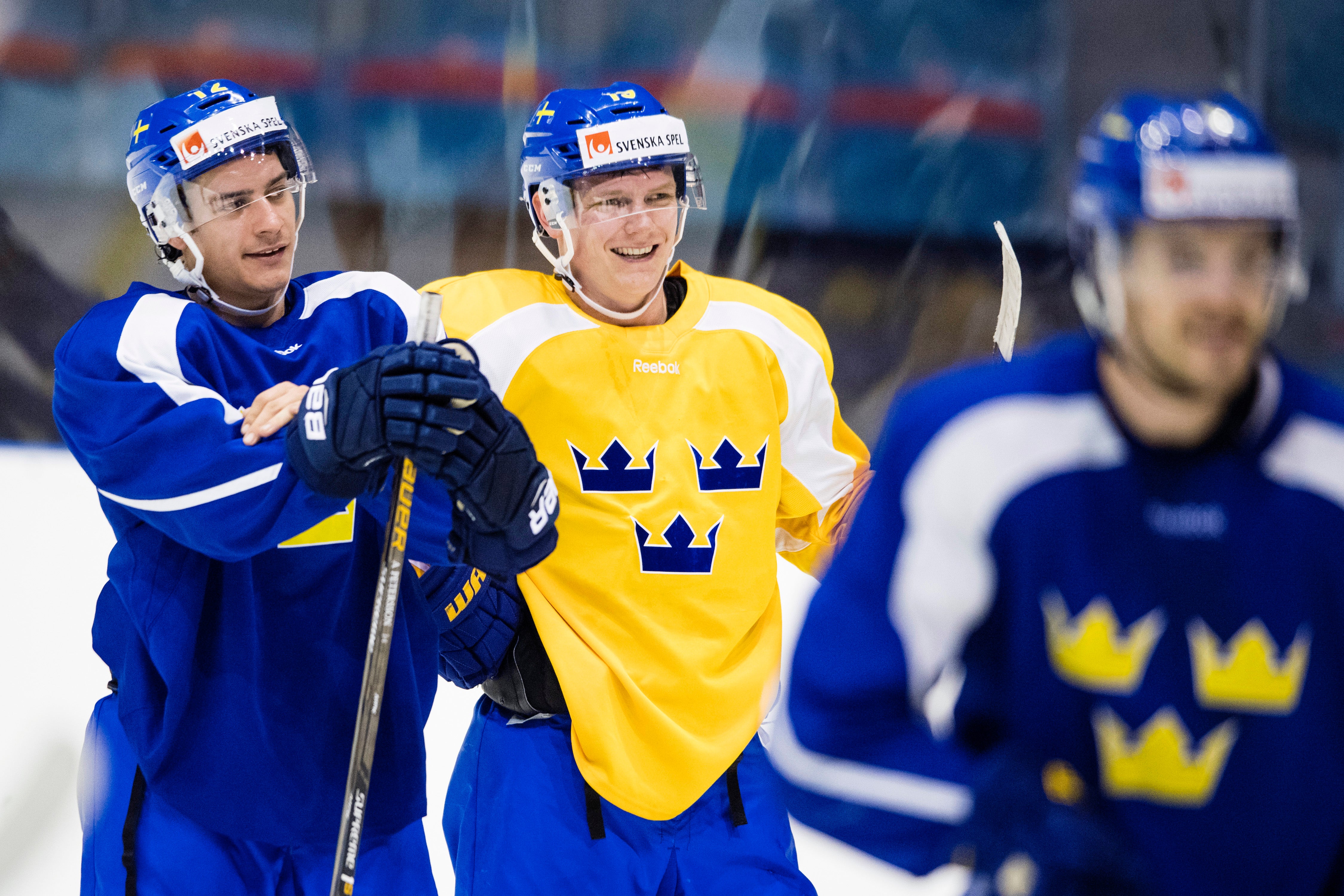 (4193) Petersson och Zackrisson