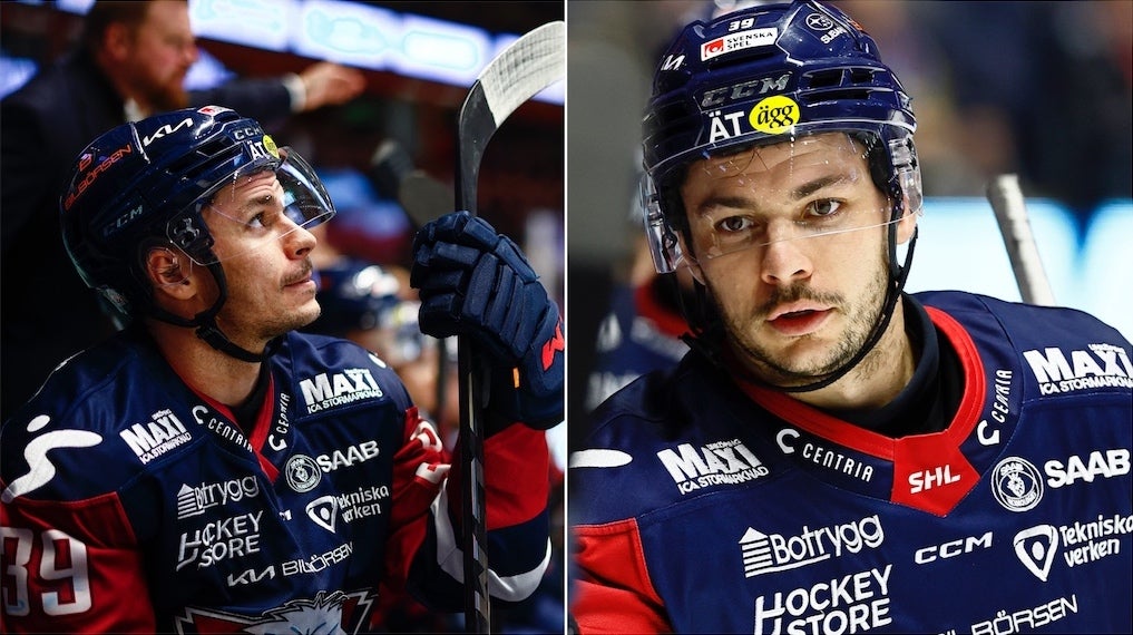 Linköping HC: LHC-Ratties stora mål: ”Slåss om guldet”