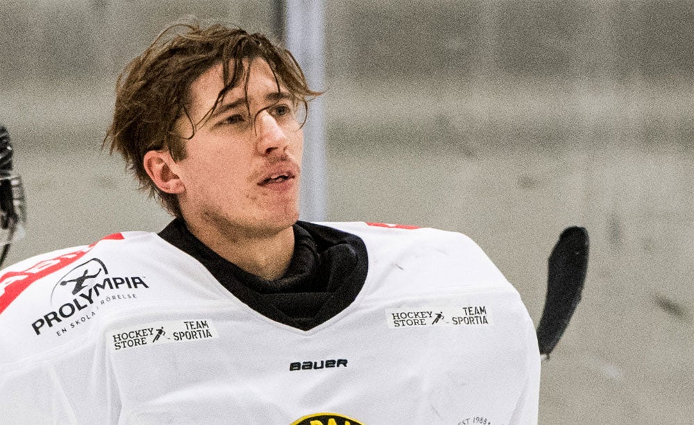 Petter Arvidson/Bildbyrån