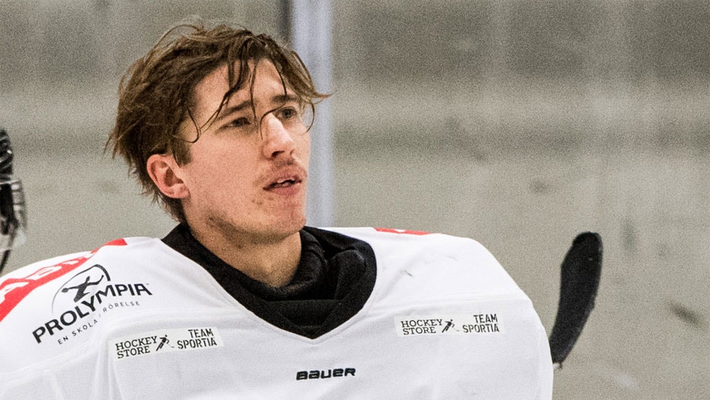 Petter Arvidson/Bildbyrån